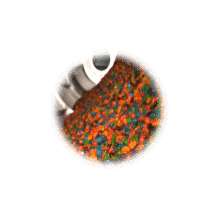 tline-gummy